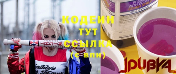 СК Бородино