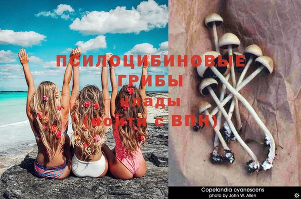 СК Бородино