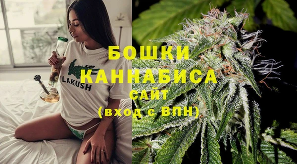 СК Бородино
