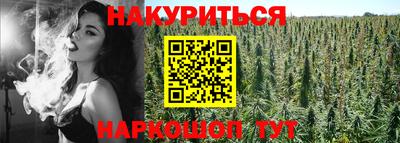 прущие крисы Бийск