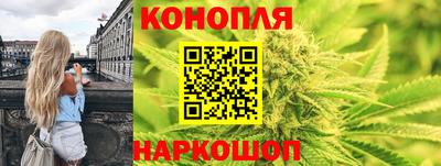 прущие крисы Бийск