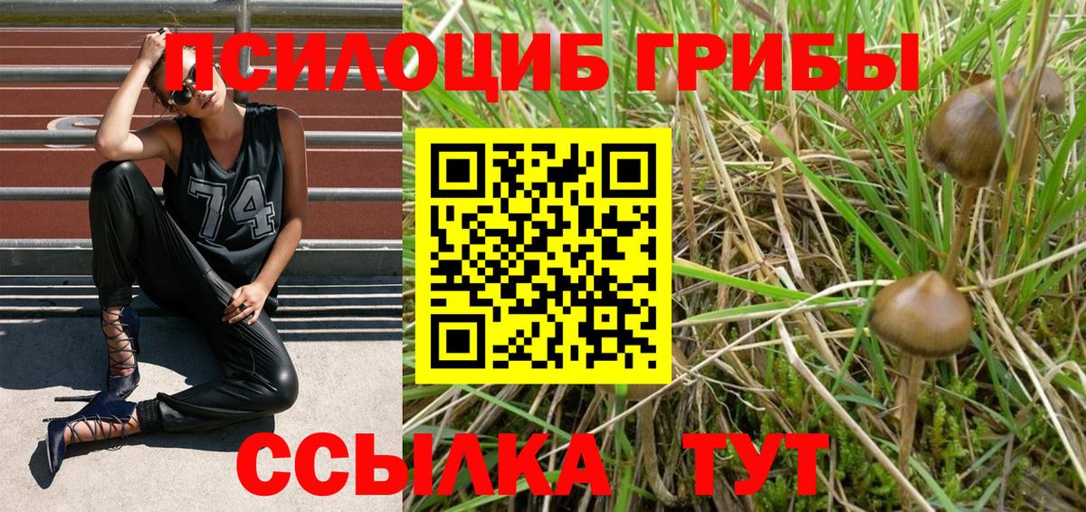 Галлюциногенные грибы GOLDEN TEACHER Бугульма