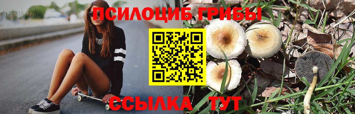 Галлюциногенные грибы Magic Shrooms Бугульма